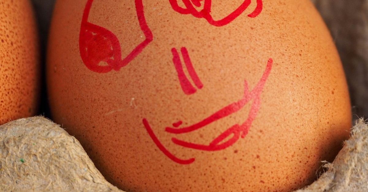 Frittata Recipes Versatile Egg Dishes