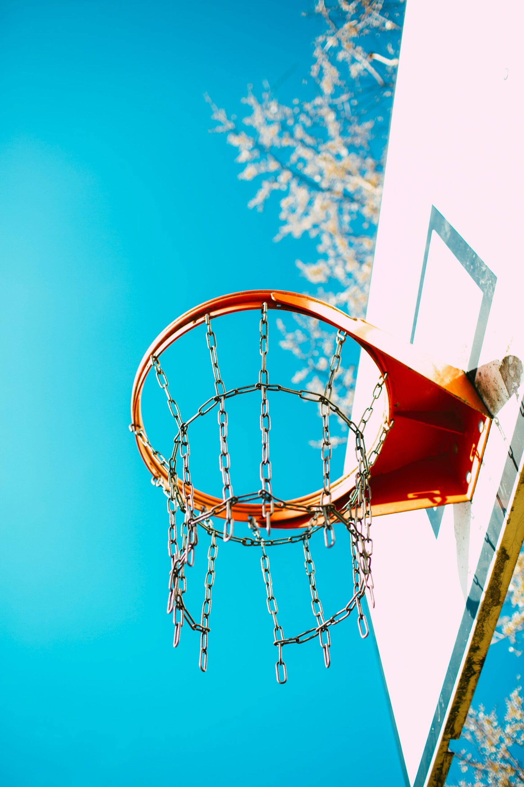 Economic Benefits of Sports Investments
